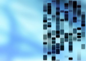 技术全方位解析